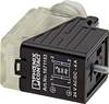 Ventilstecker SACC-V-3CON-PG9/B-1L-S Pole:3 1671153 Phoenix Contact Inhalt: 1 St.