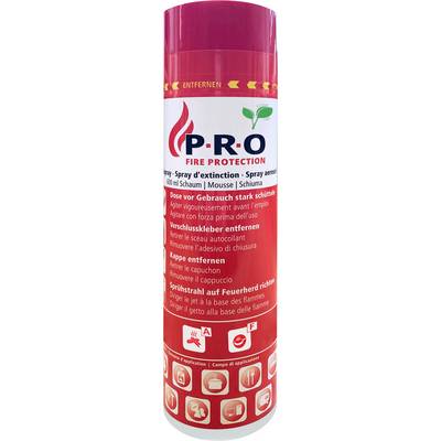 Roter Feuerlöscher mit der Aufschrift "P.R.O Fire Protection", versehen mit mehrsprachigen Gebrauchsanweisungen und Sicherheitssymbolen.