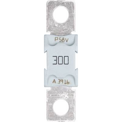 Eine Metallsicherung mit der Markierung '300' und 'P58V'. Sie ist rechteckig mit metallischen Enden für elektrische Verbindungen.