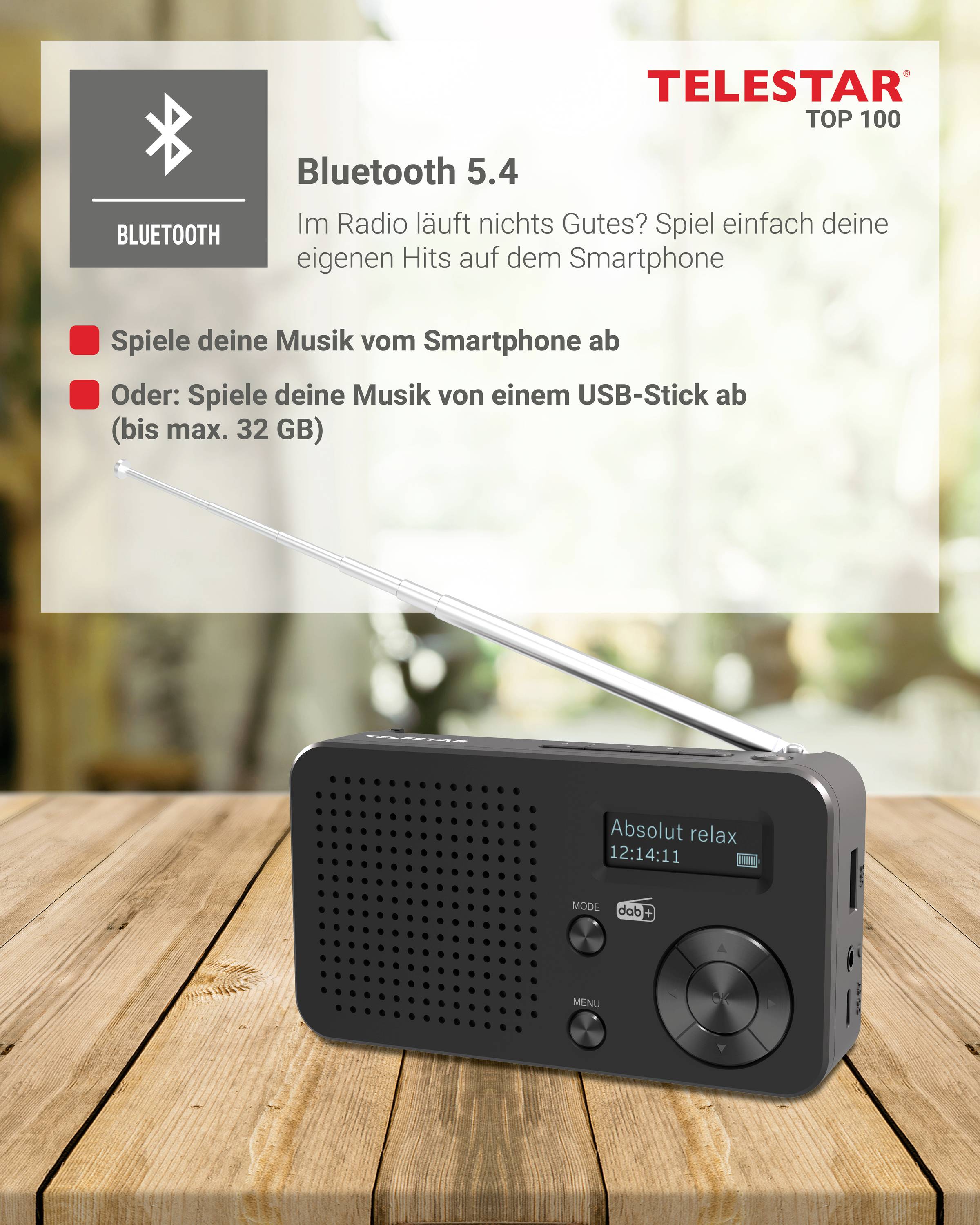 Telestar TELESTAR TOP 100 Schwarz Akku-Radio DAB+, UKW Bluetooth®, USB Akku-Ladefunktion, wiederaufladbar, Weckfunktion -7