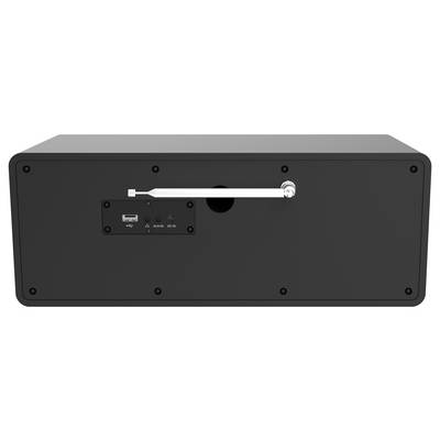 Das Bild zeigt die Rückseite eines schwarzen rechteckigen Lautsprechers mit einem USB-Anschluss, einem Audioeingang und einem Netzschalter. Oben ist ein Metallgriff angebracht.