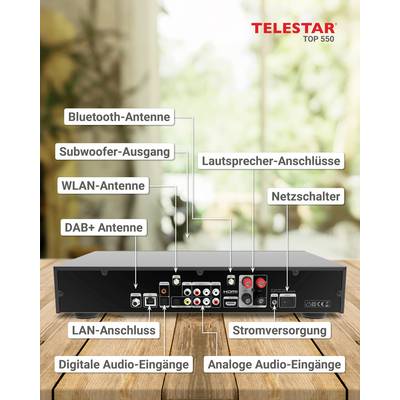 'Rückansicht eines Audioempfängers mit hervorgehobenen Anschlüssen: Bluetooth-, WLAN-, DAB+ Antennen, LAN-Anschluss, Audio-Eingänge.'