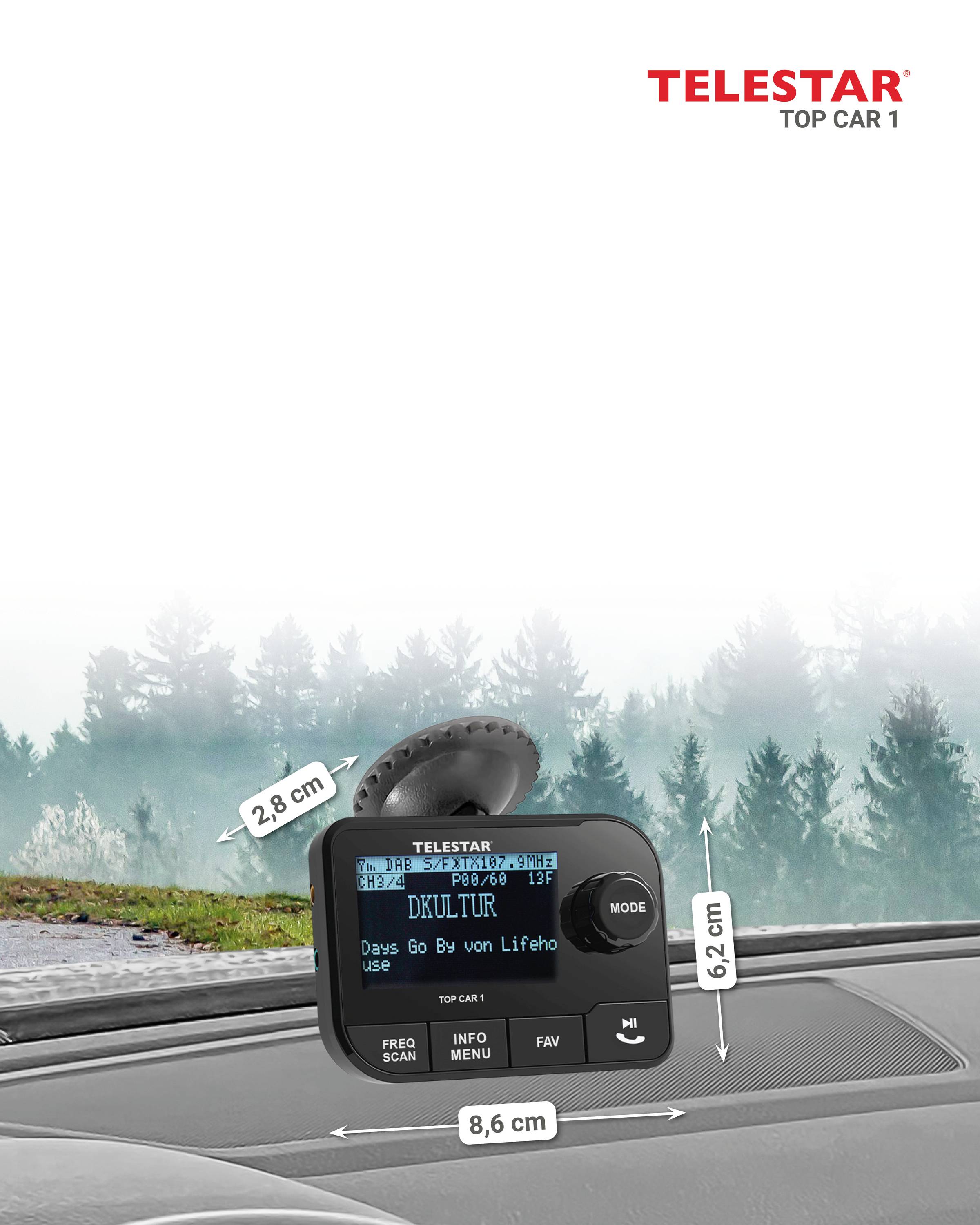 Display-Armaturenbrett mit digitalem Bildschirm, der Informationen des Radiosenders zeigt. Waldlandschaft ist durch die Autoscheibe sichtbar.