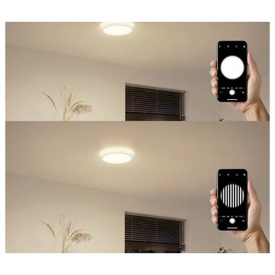 Eine Hand hält ein Smartphone, das verschiedene Lichteinstellungen zeigt und eine Deckenlampe in einem Raum mit einer Pflanze und einem Fenster im Hintergrund steuert.