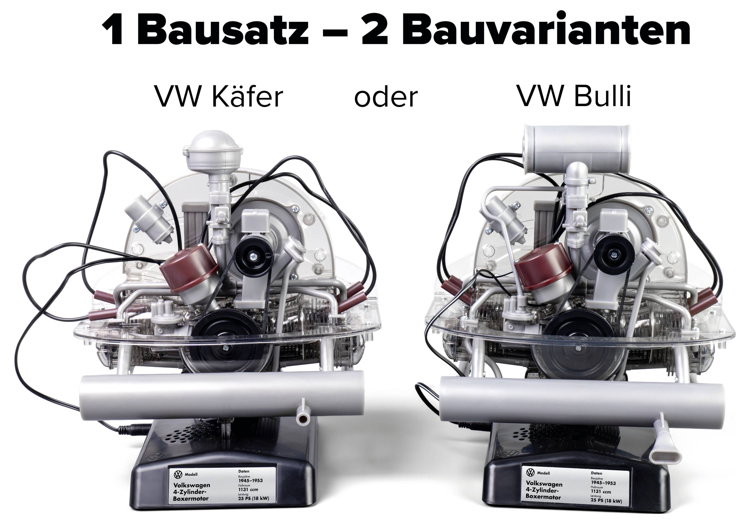1 Bausatz – 2 Bauvarianten<br><br>VW Käfer<br>VW Bulli