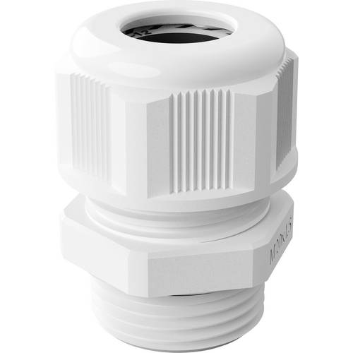 Bopla 12000316 Kabelverschraubung M20 x 1.5 Polyamid Weiß 1 St.