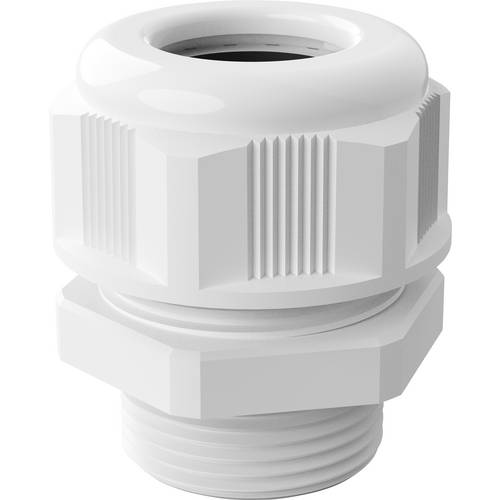 Bopla 12000319 Kabelverschraubung M25 x 1.5 Polyamid Weiß 1 St.