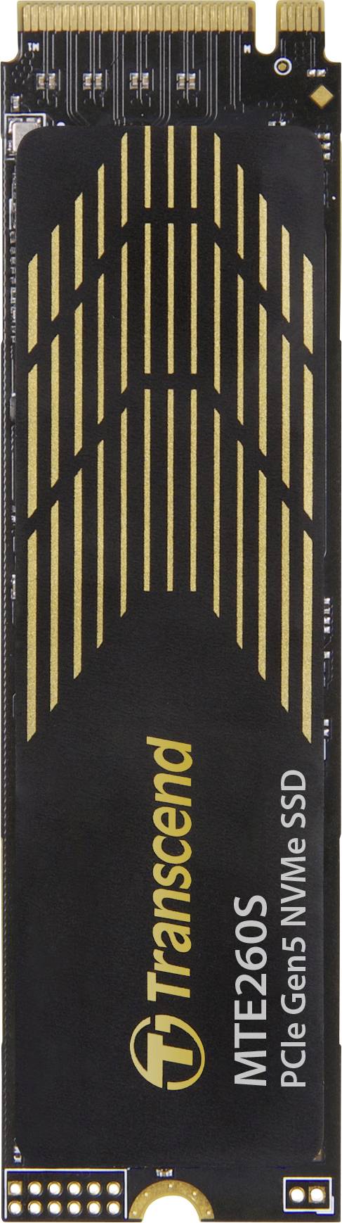 Eine 'Transcend MTE260S' PCIe Gen 5 NVMe SSD mit kompaktem, elegantem Design und sichtbarer Markenbeschriftung.
