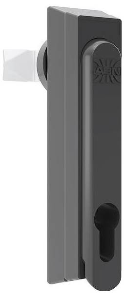 ABN GDV120N10 Schwenkhebel 10 St.