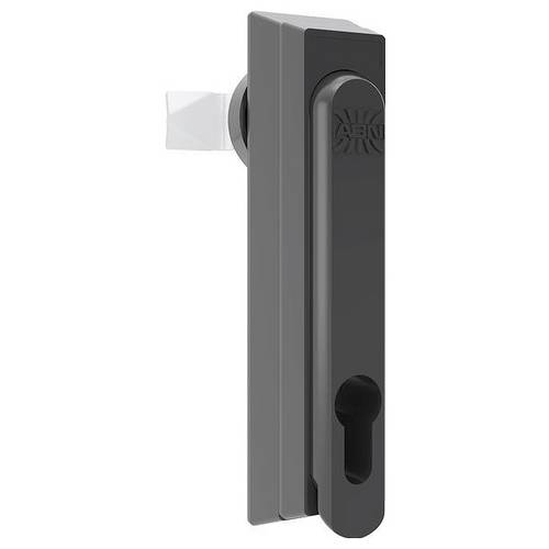 ABN GDV120N10 Schwenkhebel 10 St.