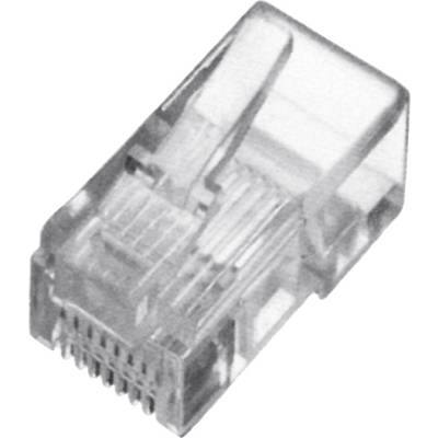 Ein Ethernet-Kabelstecker, auch als RJ45-Stecker bekannt, wird für Netzwerkverbindungen verwendet.
