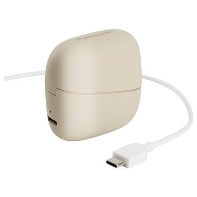 Eine beige Ohrhörer-Ladehülle mit angeschlossenem USB-C-Kabel, auf der oben „Panasonic" beschriftet ist.