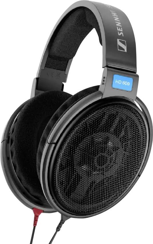 Schwarze Over-Ear-Kopfhörer mit einem silbernen Logo auf dem Kopfbügel und der Aufschrift 'HD 800' in blauer Farbe an der Seite, ausgestattet mit gepolsterten Ohrmuscheln.