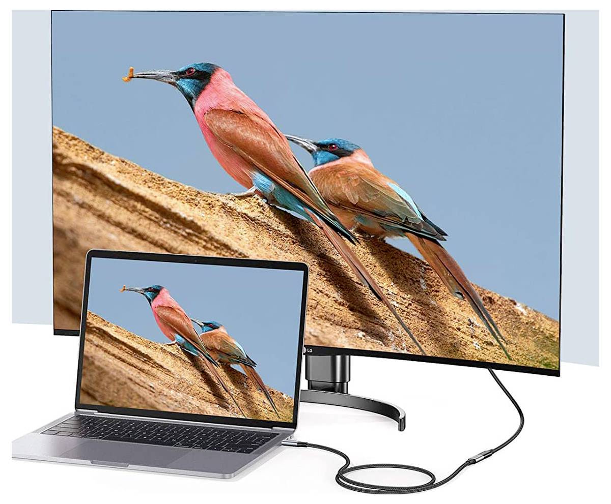 Ein Laptop ist mit einem großen Monitor verbunden, der dasselbe Bild von zwei bunten Vögeln auf einem Ast vor einem klaren blauen Himmel zeigt.