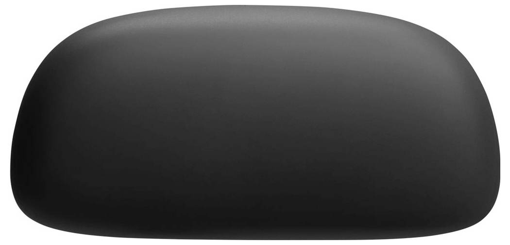Ein schlanker, ovaler schwarzer drahtloser Lautsprecher mit glatter Oberfläche, konzipiert für minimalistische moderne Audiosetups.