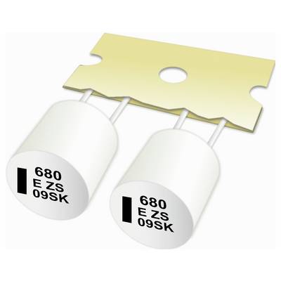 Zwei zylindrische Kondensatoren mit der Bezeichnung 680 E Zs 09SK, die mit einer beigen rechteckigen Komponente mit einem zentralen Loch verbunden sind.