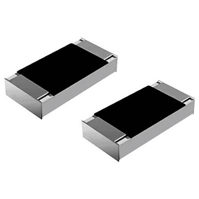 Zwei rechteckige, silberne Widerstände mit schwarzen Oberteilen, nebeneinander positioniert, die in elektronischen Schaltkreisen verwendet werden.