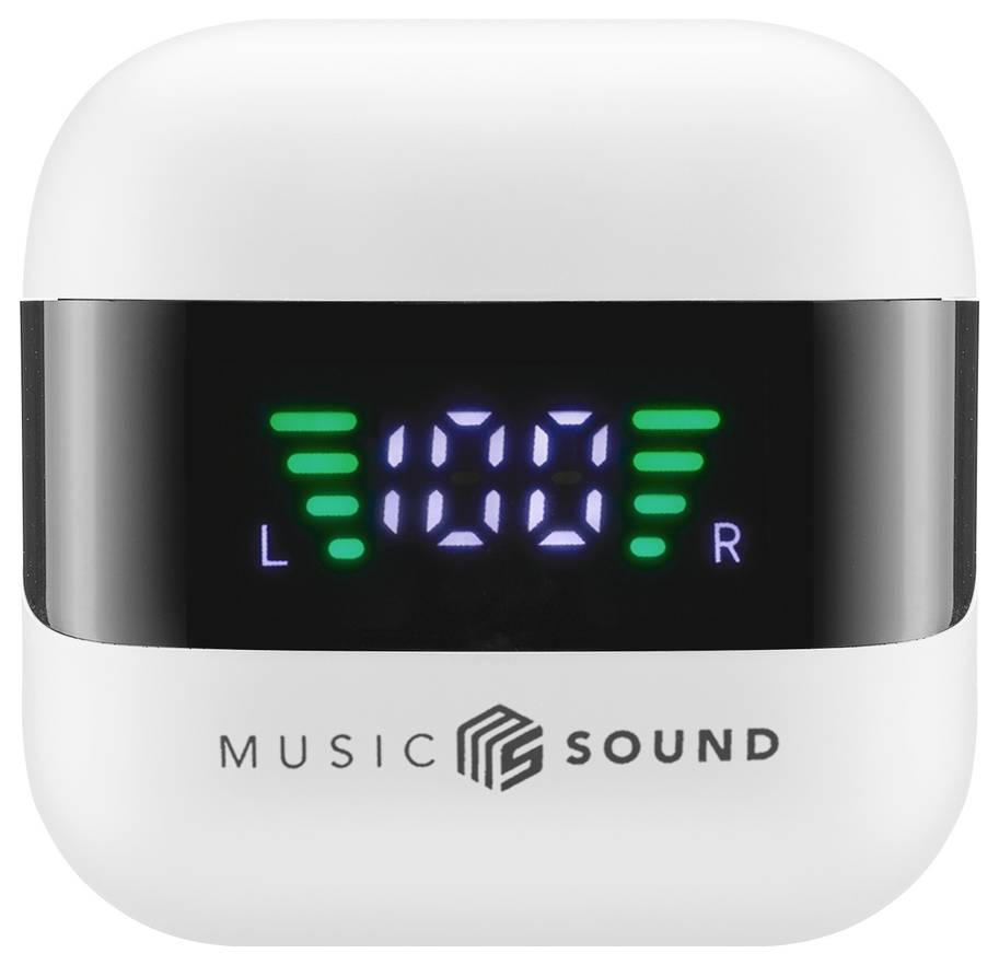 Digitaler Musikplayer mit einer LED-Anzeige, die '100' zeigt, flankiert von grünen Balken, die die Lautstärkepegel für den linken (L) und rechten (R) Kanal anzeigen.