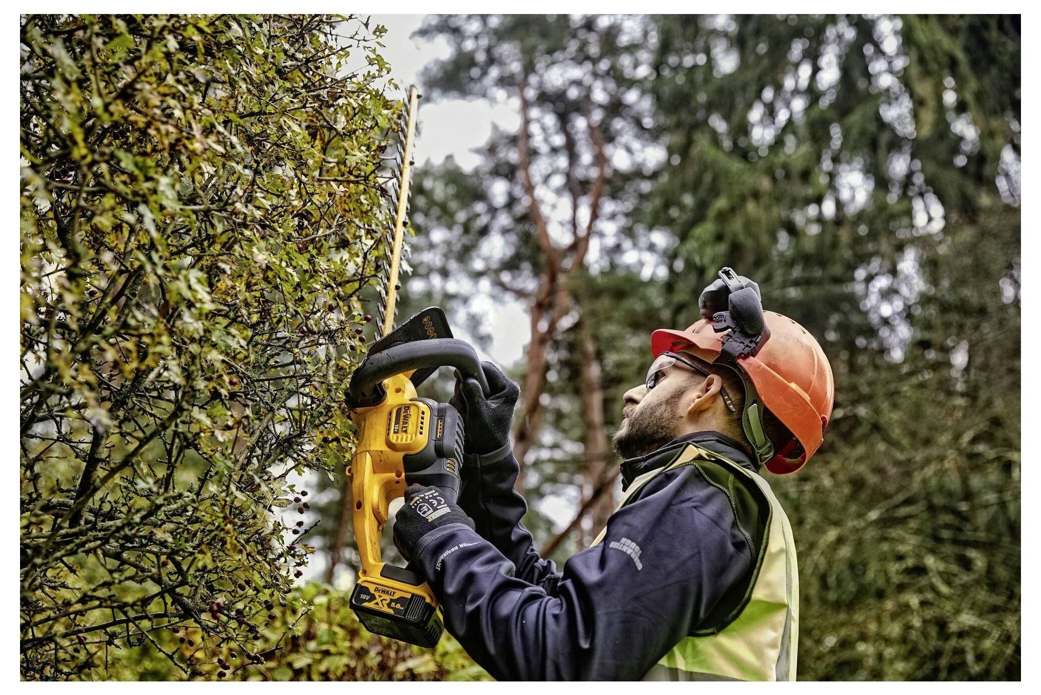 Eine Person mit Sicherheitsausrüstung schneidet eine hohe Hecke mit einem elektrischen Heckenschneider in einem bewaldeten Gebiet.