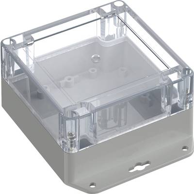 Eine transparente Elektro-Abzweigdose aus Kunststoff mit grauer Grundfläche und durchsichtigem Deckel, die Befestigungslöcher für die Wandmontage aufweist.