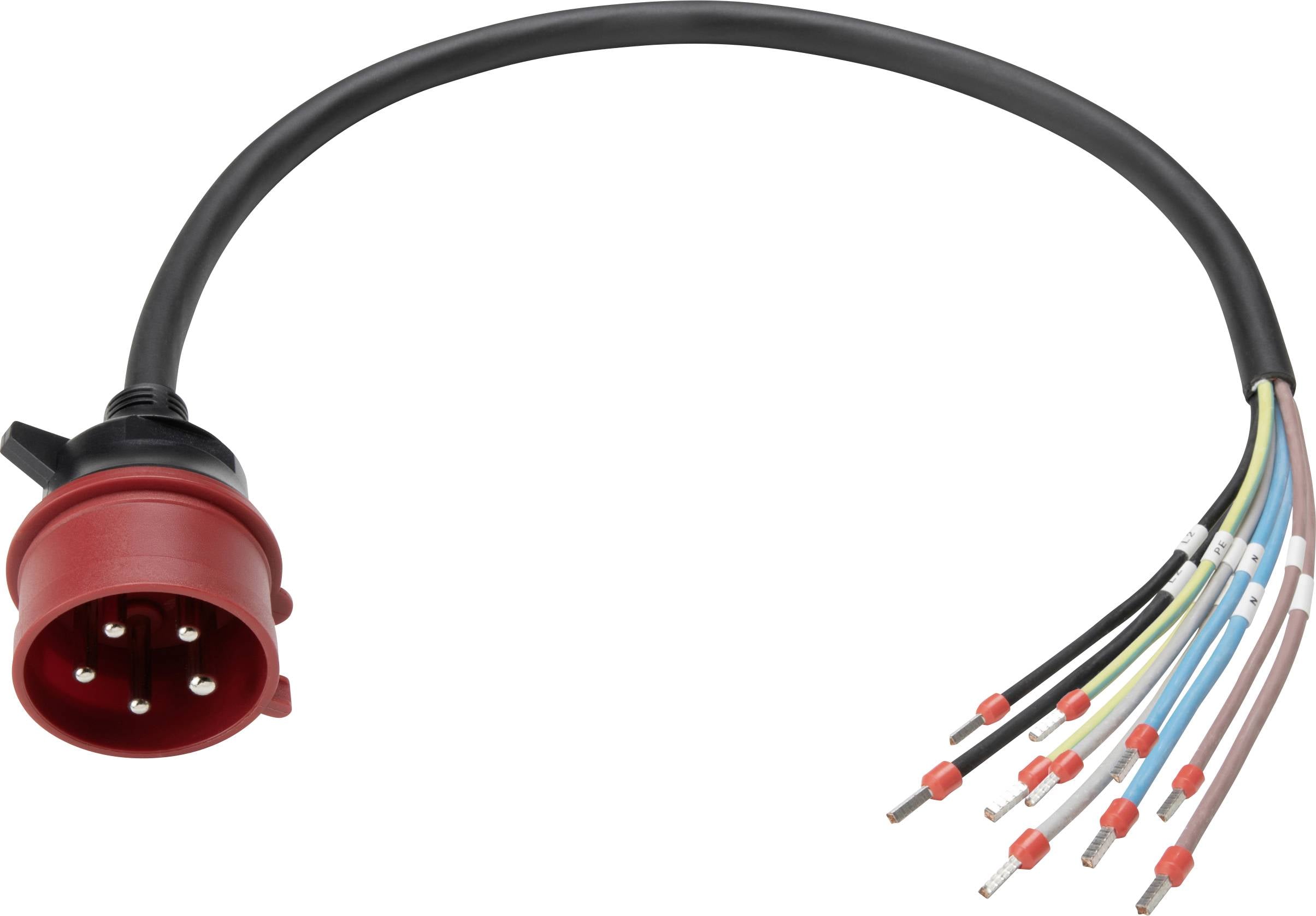 Ein schwarzes elektrisches Kabel mit einem roten Stecker an einem Ende und mehreren farbigen freiliegenden Leitungen am anderen Ende, das für Verdrahtungszwecke verwendet wird.