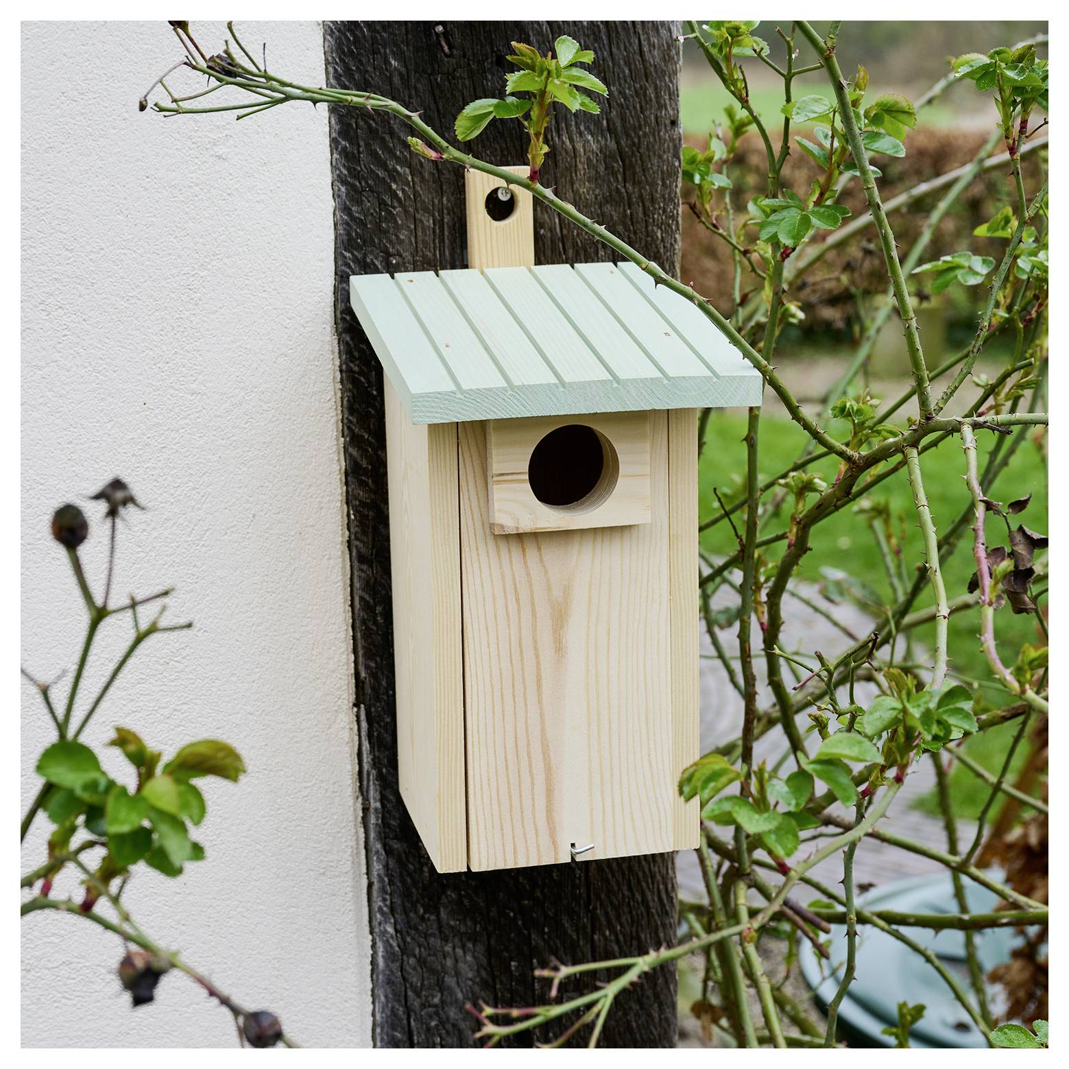 Ein Vogelhaus aus Holz mit einem grünen Dach ist auf einem Pfahl montiert, der von Rosenzweigen umgeben ist. Es hat ein rundes Einflugsloch.