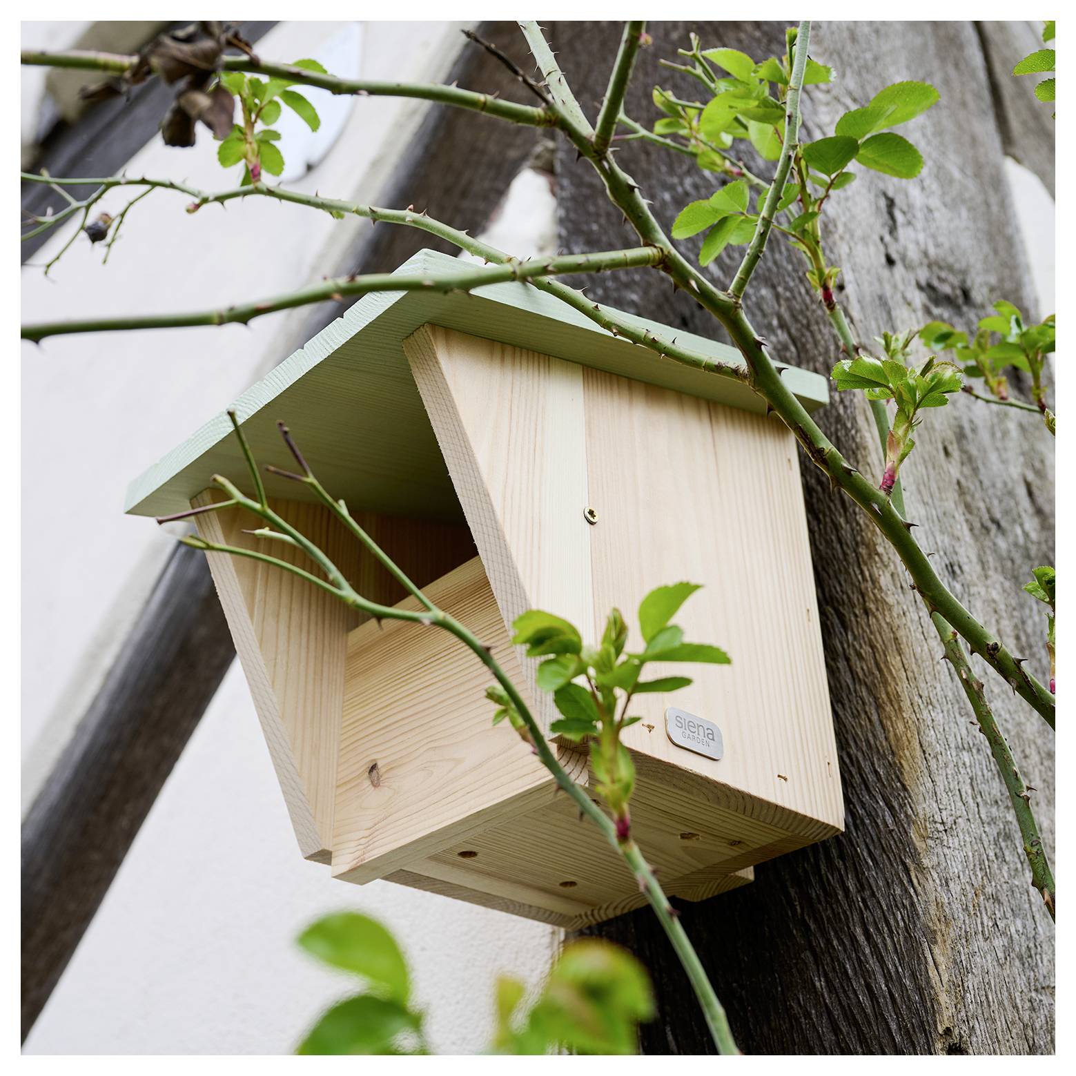 Ein Holzvogelhäuschen, das an einer Wand befestigt ist, mit einem Rosenzweig in der Nähe. Das Vogelhäuschen hat ein grünes Dach, was auf einen natürlichen, einladenden Lebensraum hindeutet.