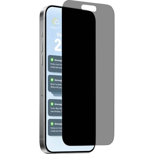 Puro Displayschutzglas mit Blickschutz Apple iPhone Air 1 St. PUSDGPRIPHONE1766