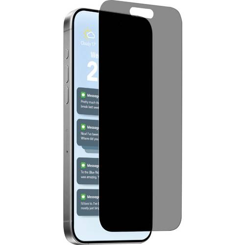 Puro Displayschutzglas mit Blickschutz Apple iPhone 17 Pro Max 1 St. PUSDGPRIPHONE17P69