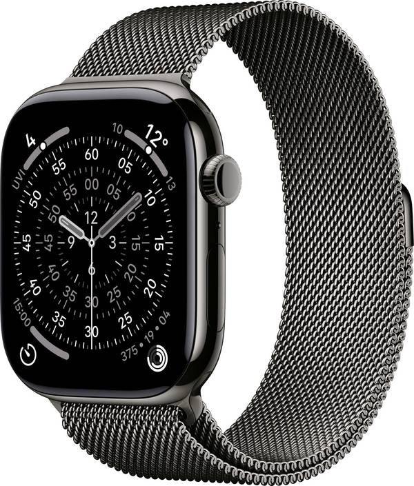 Apple Watch Series 11 GPS + Cellular 46 mm Titangehäuse Milanese Loop Schiefer S/M