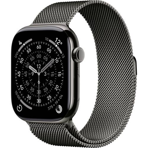 Apple Watch Series 11 GPS + Cellular 46 mm Titangehäuse Milanese Loop Schiefer M/L