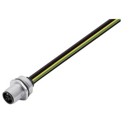 Ein Metallstromstecker mit einem Kabel in Schwarz-, Gelb- und Grünstreifen wird vor einem einfarbigen Hintergrund dargestellt.