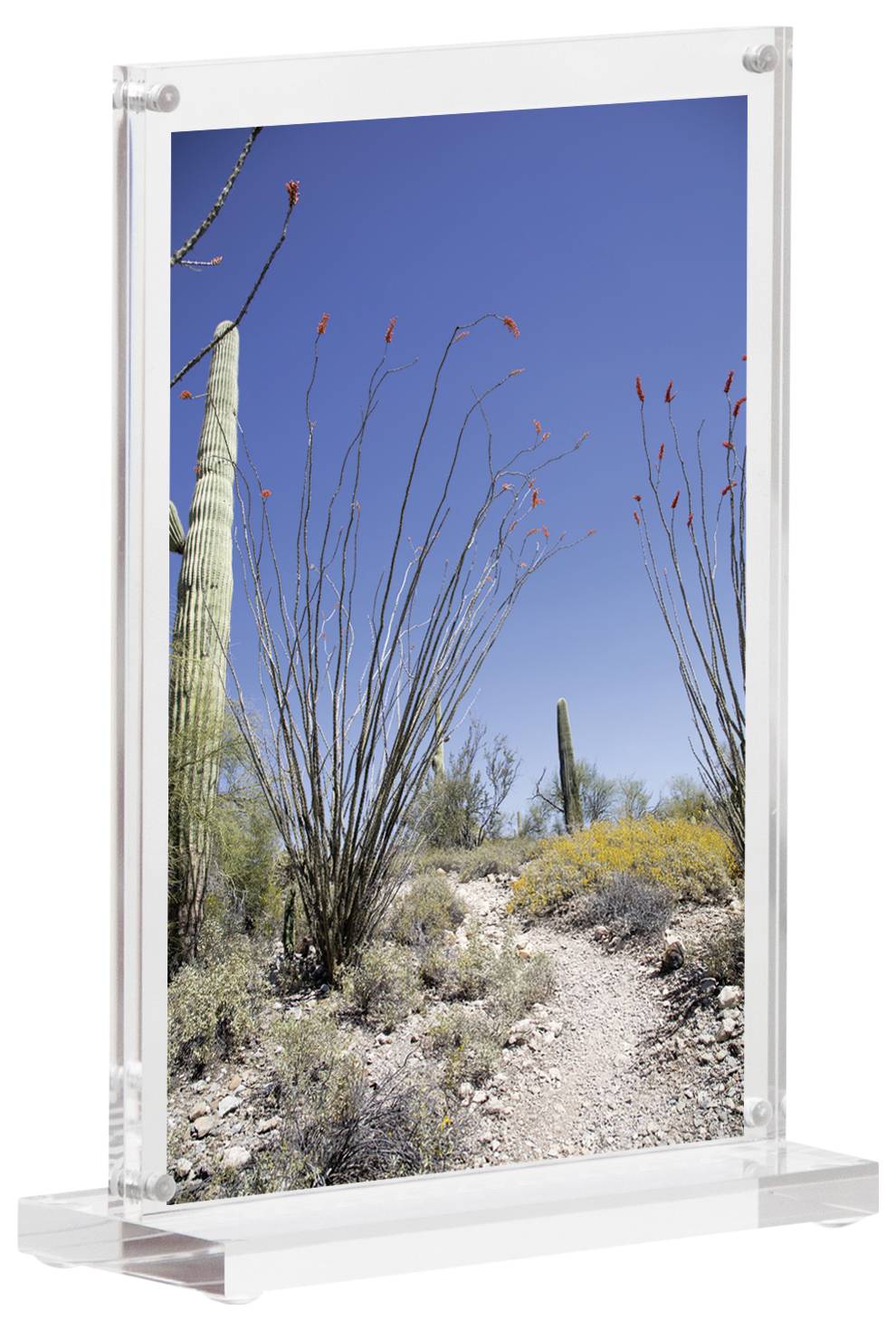 Maul 1948005 MAULvision Tischaufsteller T-Form Verwendung für Papierformat: DIN A6 Transparent 1 St.-14