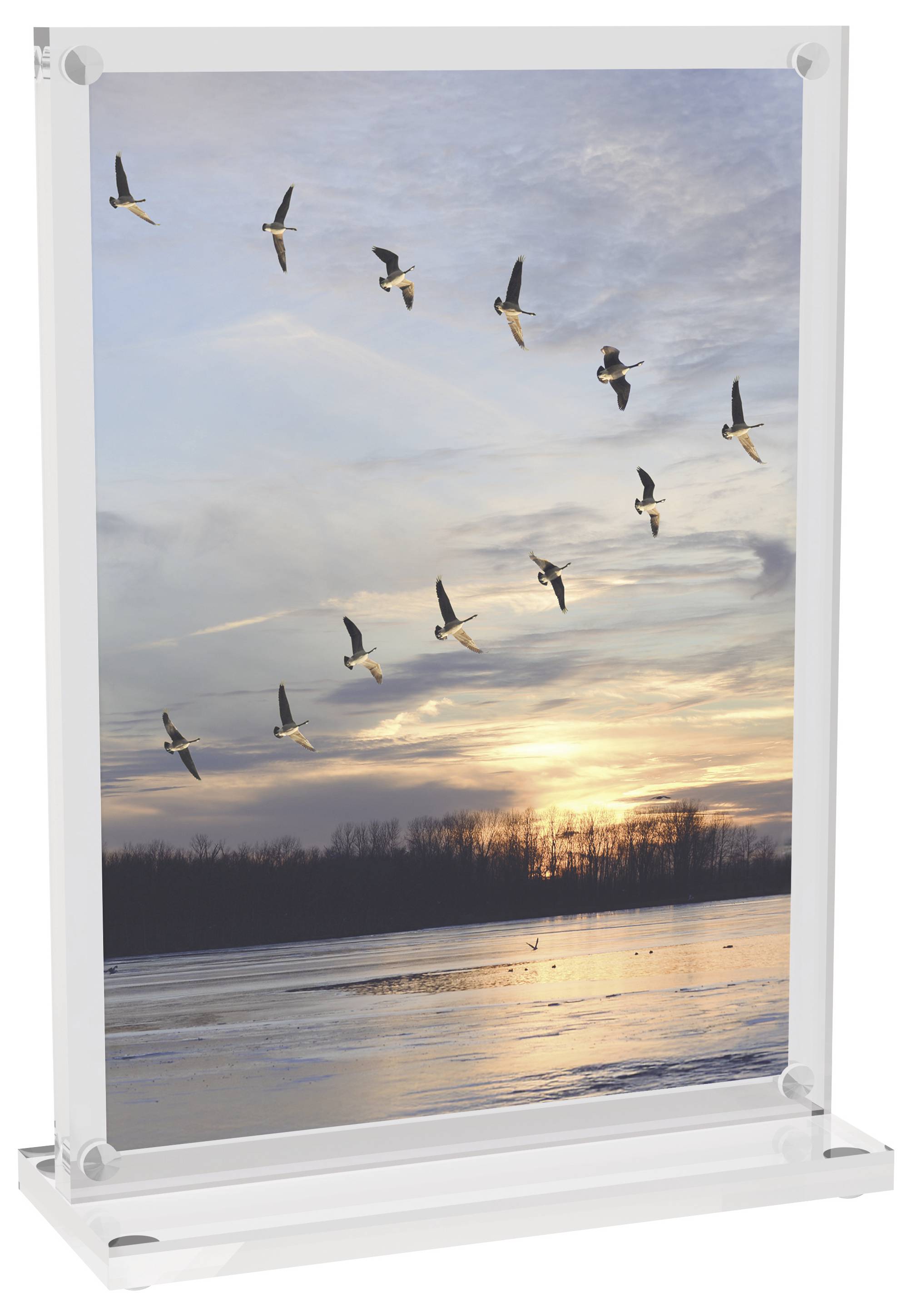 Maul 1948005 MAULvision Tischaufsteller T-Form Verwendung für Papierformat: DIN A6 Transparent 1 St.-15