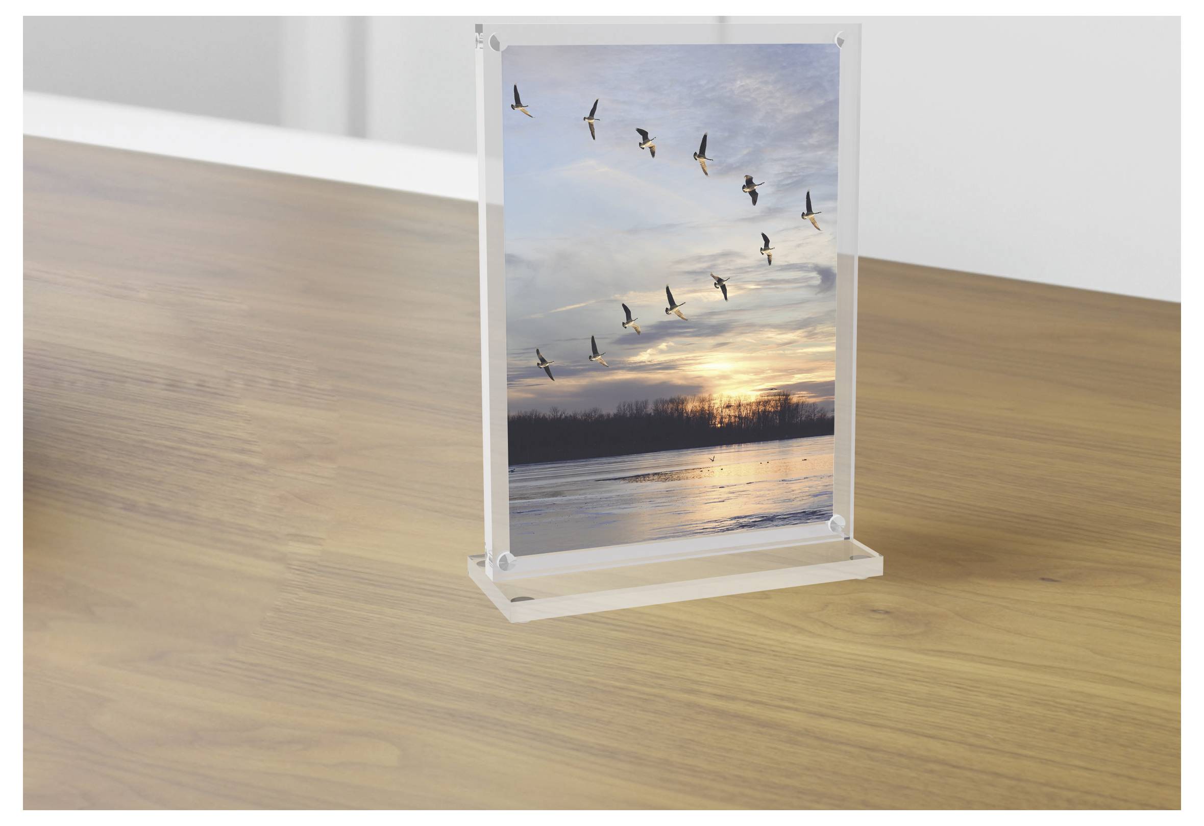 Maul 1948005 MAULvision Tischaufsteller T-Form Verwendung für Papierformat: DIN A6 Transparent 1 St.-16