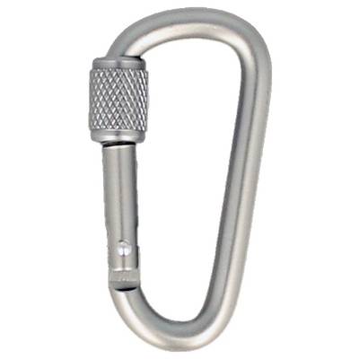 Ein silberner Karabiner mit Schraubverschluss wird vor einem einfarbigen Hintergrund gezeigt, verwendet zum Sichern von Kletterausrüstung oder anderen Gegenständen.