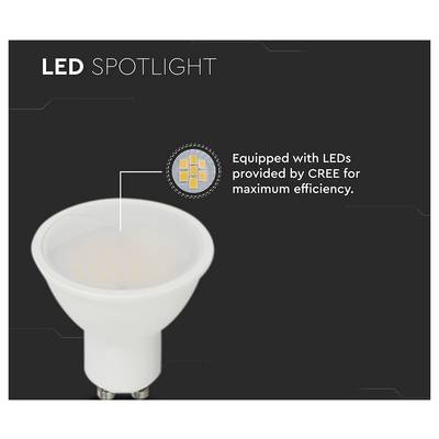 Ausgestattet mit LEDs von CREE für maximale Effizienz