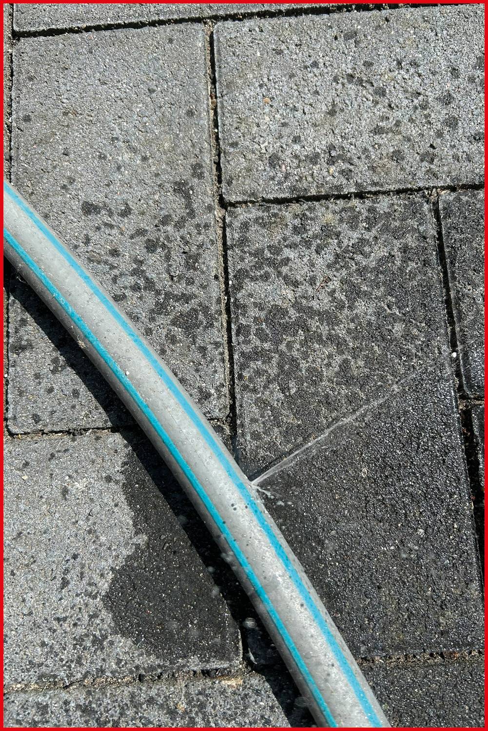 Ein Gartenschlauch liegt auf nassen, strukturierten Betonplatten mit sichtbaren Wassertropfen, was eine kürzliche Nutzung oder Regen andeutet.