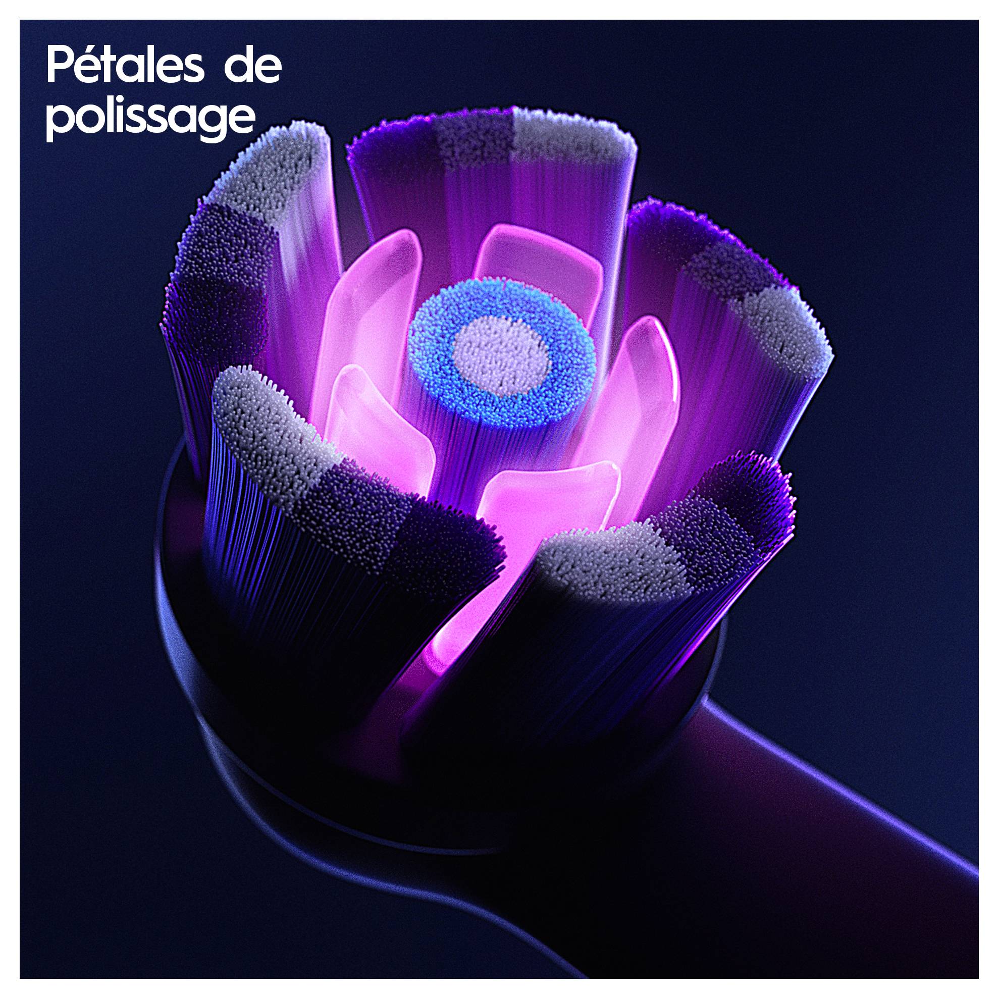Eine Nahaufnahme eines Zahnbürstenkopfes mit leuchtenden Borsten in einer rosenblattartigen Anordnung, mit der französischen Bildunterschrift 'Pétales de polissage'.