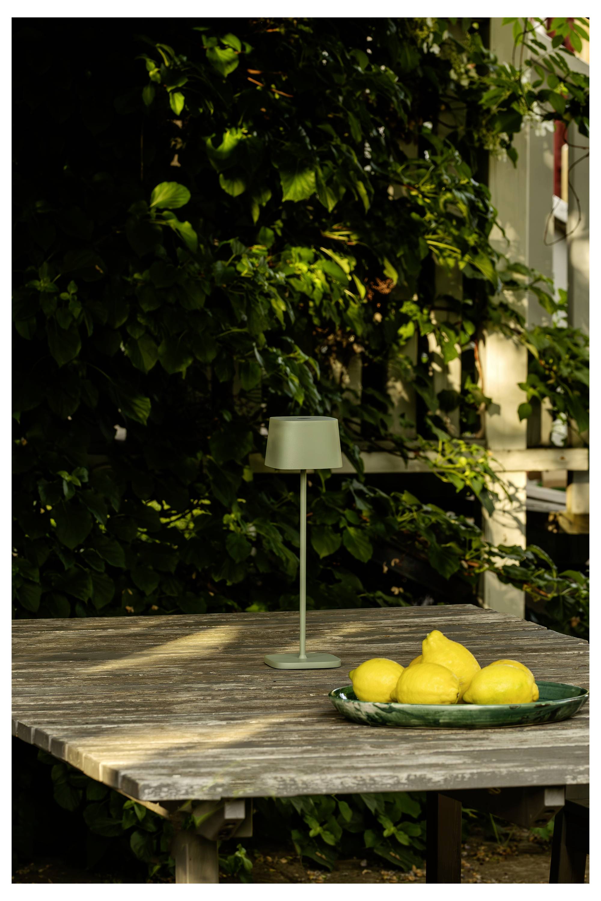 Ein Holztisch mit einer grünen Lampe und einem Teller mit gelben Zitronen, der im Freien vor einem Hintergrund üppiger grüner Vegetation platziert ist.