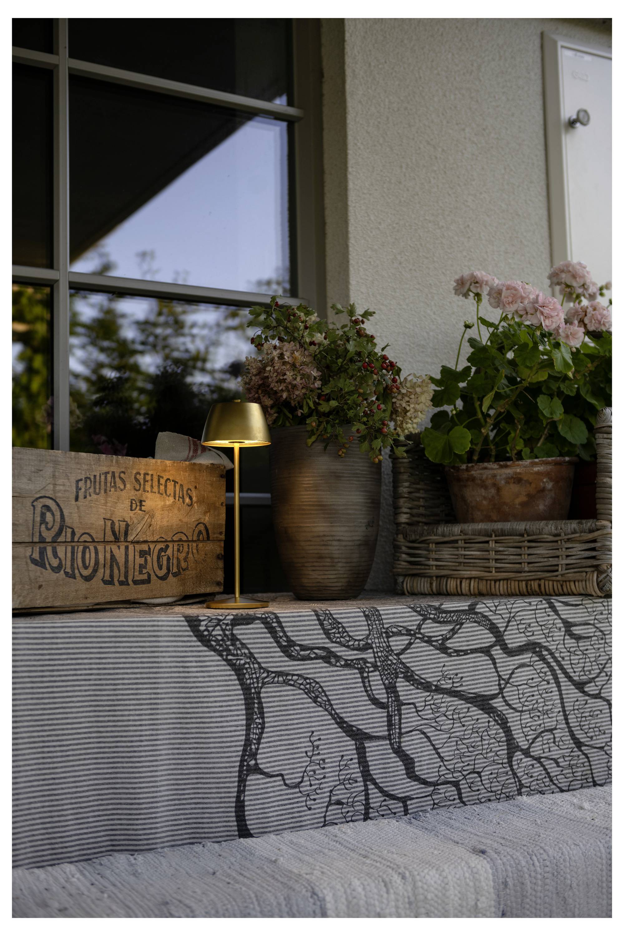 Eine Holzkiste mit der Aufschrift "Frutas Selectas De Rio Negro", eine kleine Lampe und Pflanzen in rustikalen Töpfen sind auf einer Stufe mit gemustertem Stoff angeordnet.