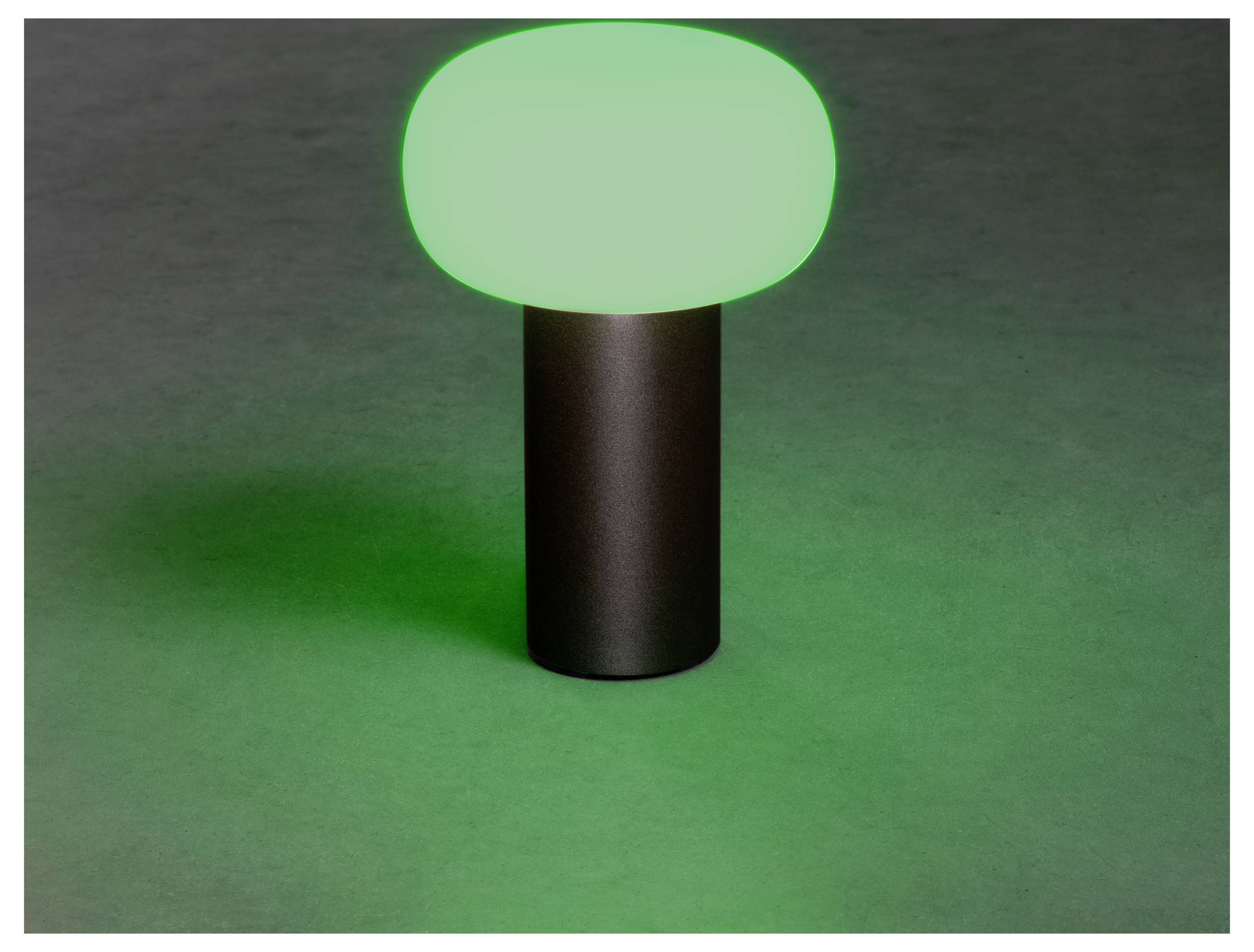 Eine kleine Lampe mit einer zylindrischen Basis und einem leuchtend grünen ovalen Oberteil, die ein weiches Licht auf die Oberfläche darunter wirft.
