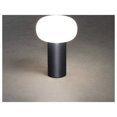 Eine moderne Tischlampe mit einer abgerundeten, weißen Oberseite verbreitet ein warmes Leuchten und steht auf einer glatten, dunklen zylindrischen Basis vor einem neutralen Hintergrund.