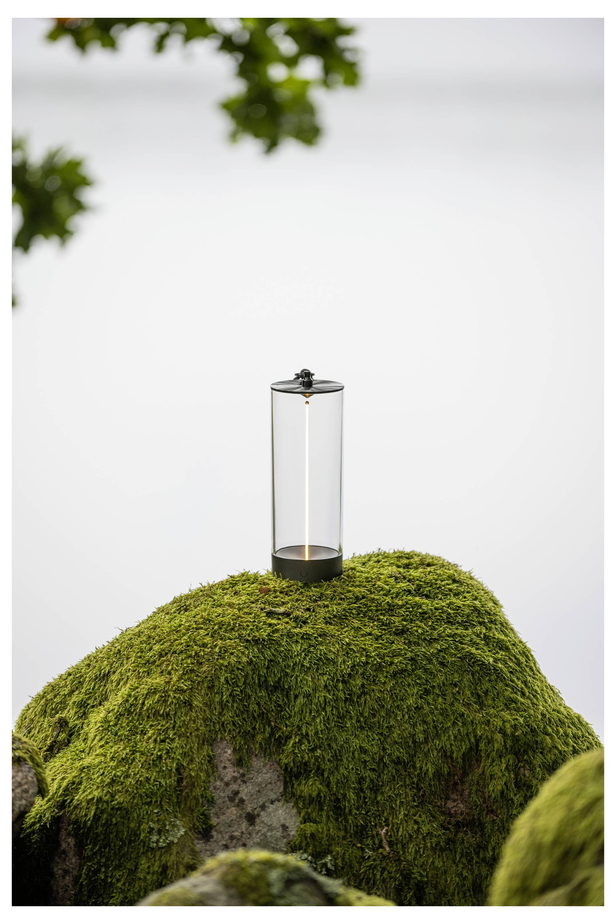 Ein klares Glasgefäß mit schwarzer Basis steht auf einem moosbedeckten Felsen in einer friedlichen Außenumgebung, mit verschwommener Vegetation im Hintergrund.