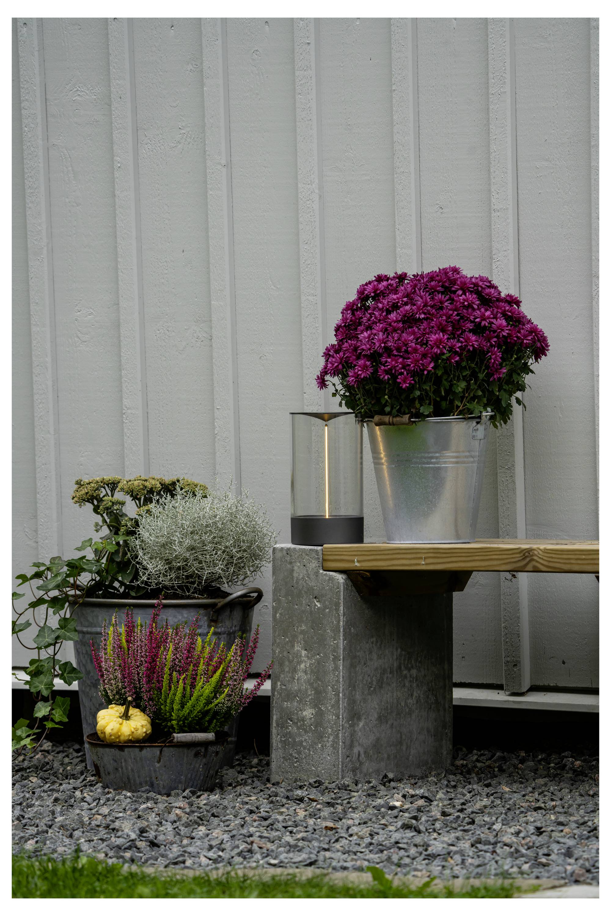 Topfblumen und Pflanzen sind auf einer Holzbank und einem Betonblock vor einer hellgrauen Wand angeordnet und verleihen dem Raum eine dekorative Gartenatmosphäre.
