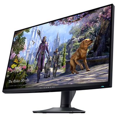 Ein Computermonitor zeigt eine lebendige Fantasy-Szene aus 'The Elder Scrolls Online', die eine majestätische Burg, Charaktere und einen Hund darstellt.