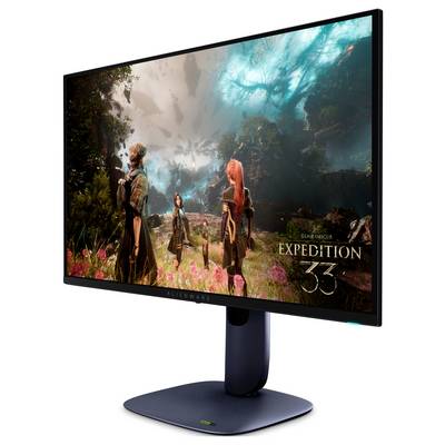 Ein Computermonitor, der ein fantasy-basiertes Videospiel mit dem Titel "Expedition 33" zeigt, mit Charakteren in einer üppigen Landschaft und beeindruckenden, lebhaften Grafiken.