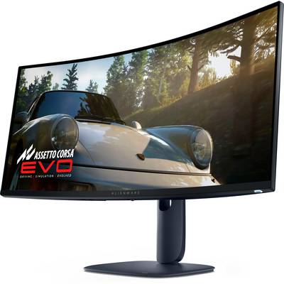 Ein gebogener großer Monitor zeigt ein Autorennspiel mit einem weißen Sportwagen im Vintage-Stil, der bei Sonnenlicht durch einen Waldbereich fährt.