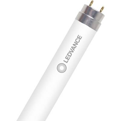 Eine Nahaufnahme einer weißen LED-Röhrenlampe mit zwei Pins, auf der das Markenlogo 'LEDVANCE' aufgedruckt ist und die ihr schlankes Design präsentiert.
