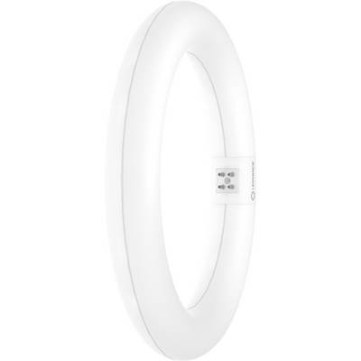 Ein weißer, ovaler LED-Deckenleuchtenring mit minimalistischem Design, von der Seite gezeigt, der seine schlanke Kontur und die internen Komponenten präsentiert.